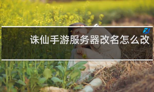 诛仙手游服务器改名怎么改