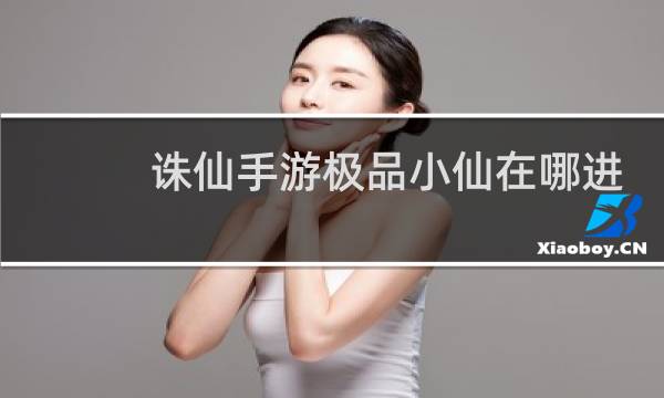 诛仙手游极品小仙在哪进