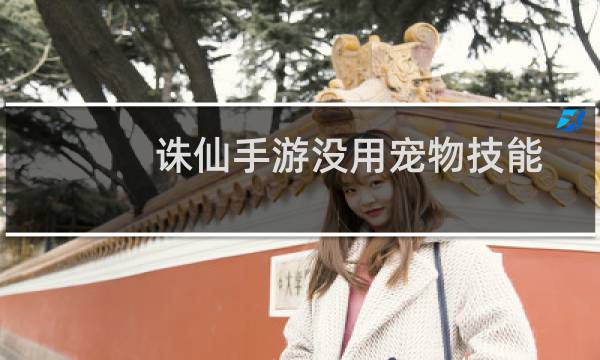诛仙手游没用宠物技能