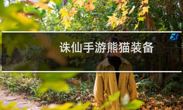 诛仙手游熊猫装备