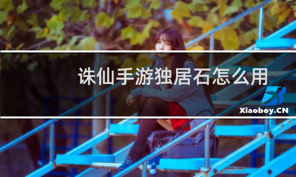 诛仙手游独居石怎么用