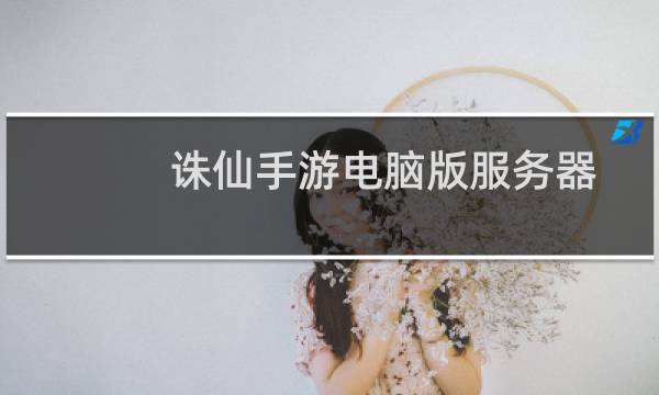 诛仙手游电脑版服务器