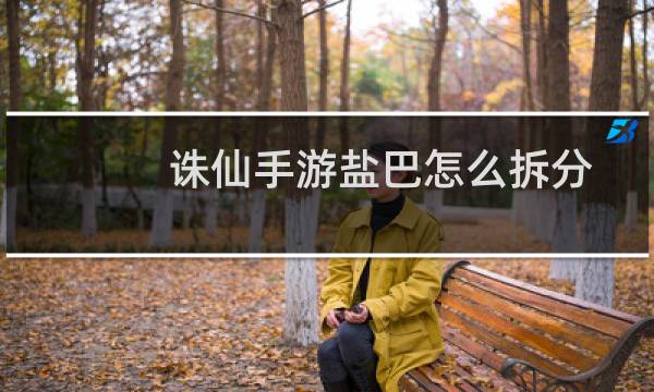 诛仙手游盐巴怎么拆分