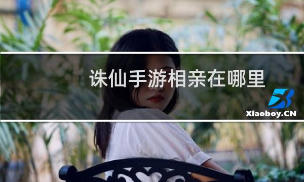 诛仙手游相亲在哪里