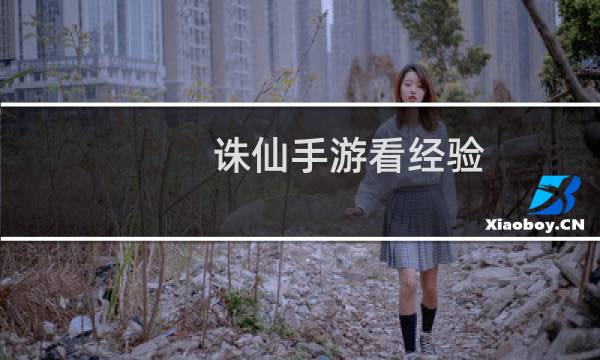 诛仙手游看经验