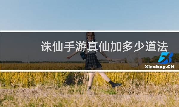 诛仙手游真仙加多少道法