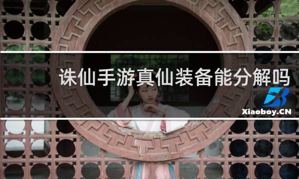 诛仙手游真仙装备能分解吗