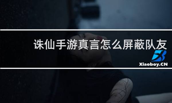 诛仙手游真言怎么屏蔽队友
