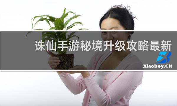 诛仙手游秘境升级攻略最新