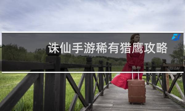 诛仙手游稀有猎鹰攻略