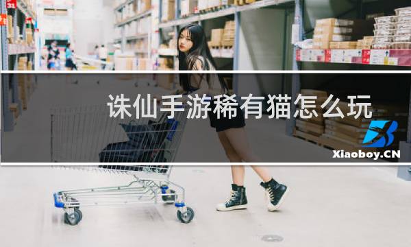 诛仙手游稀有猫怎么玩