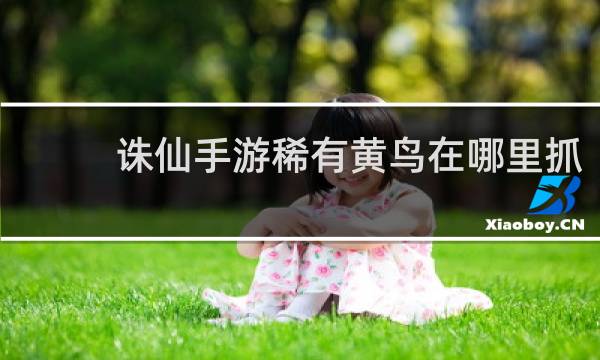 诛仙手游稀有黄鸟在哪里抓