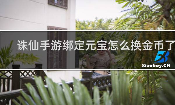 诛仙手游绑定元宝怎么换金币了呢