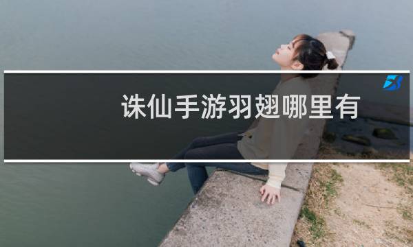 诛仙手游羽翅哪里有