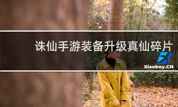 诛仙手游装备升级真仙碎片