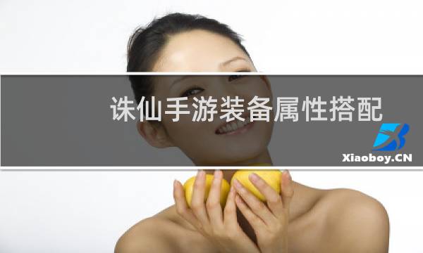 诛仙手游装备属性搭配