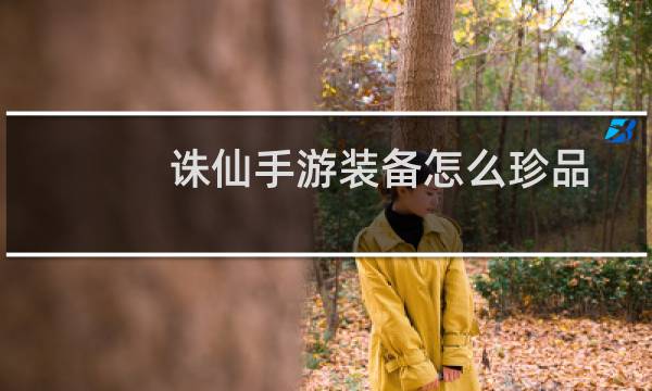 诛仙手游装备怎么珍品
