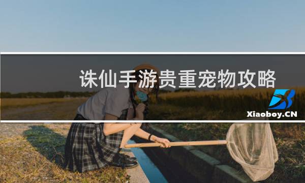 诛仙手游贵重宠物攻略