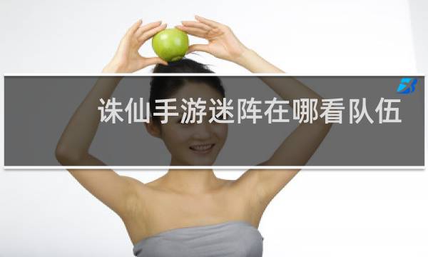 诛仙手游迷阵在哪看队伍
