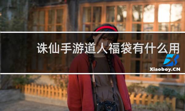 诛仙手游道人福袋有什么用