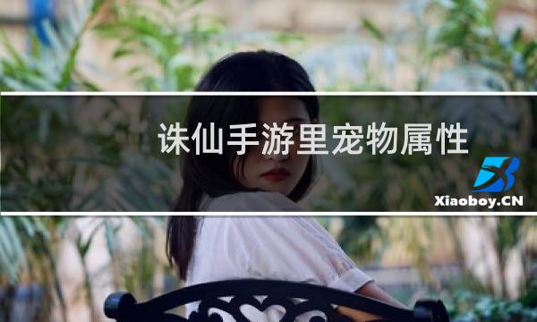 诛仙手游里宠物属性