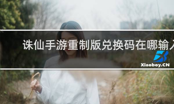 诛仙手游重制版兑换码在哪输入