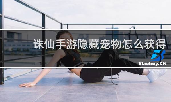 诛仙手游隐藏宠物怎么获得