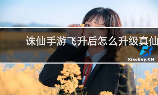 诛仙手游飞升后怎么升级真仙
