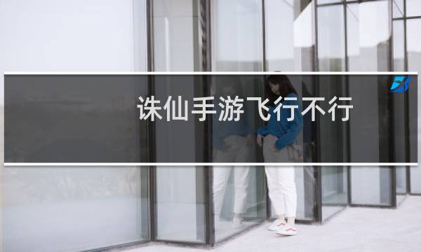 诛仙手游飞行不行