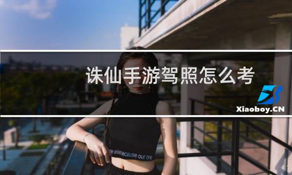 诛仙手游驾照怎么考