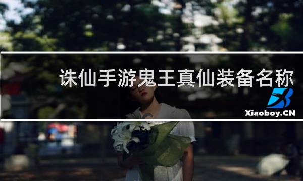 诛仙手游鬼王真仙装备名称