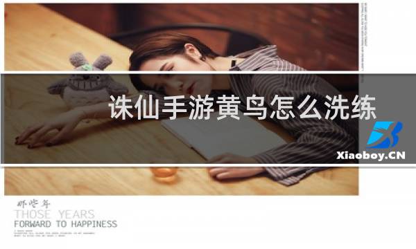 诛仙手游黄鸟怎么洗练