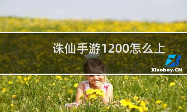 诛仙手游1200怎么上