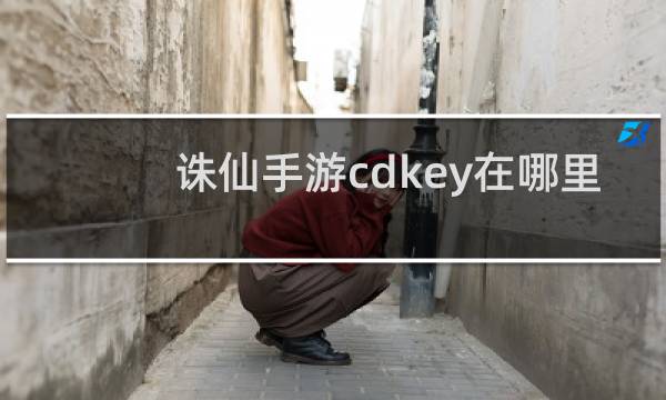 诛仙手游cdkey在哪里