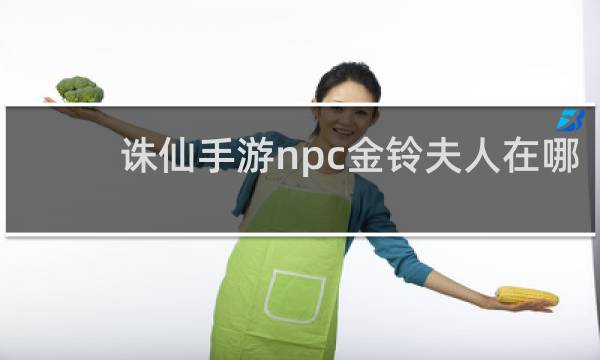诛仙手游npc金铃夫人在哪