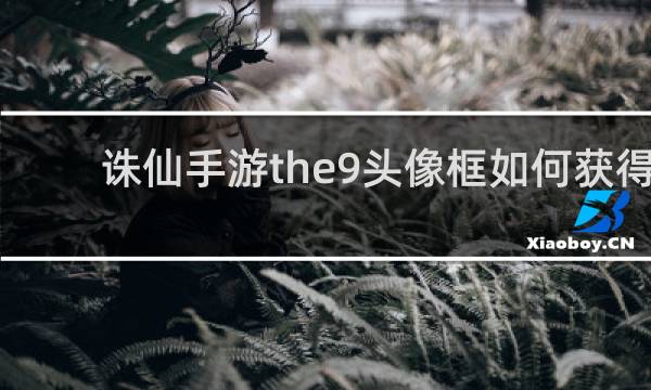 诛仙手游the9头像框如何获得