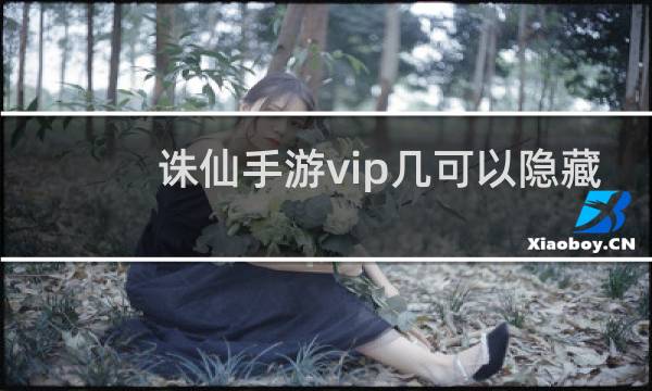 诛仙手游vip几可以隐藏