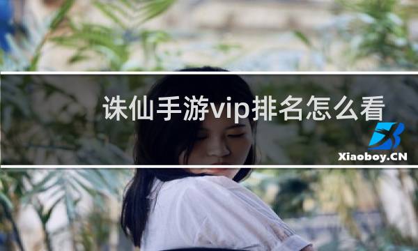 诛仙手游vip排名怎么看