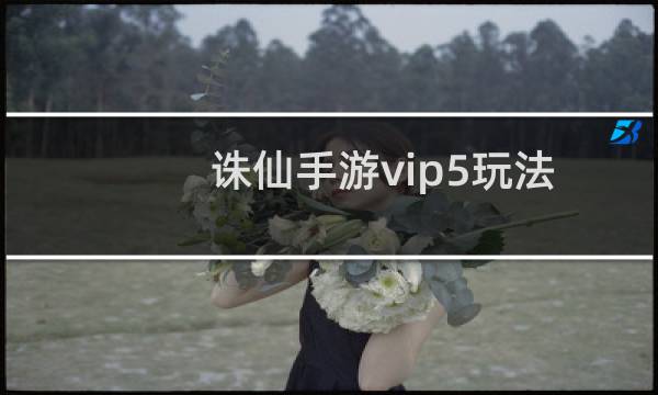 诛仙手游vip5玩法