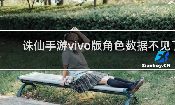 诛仙手游vivo版角色数据不见了