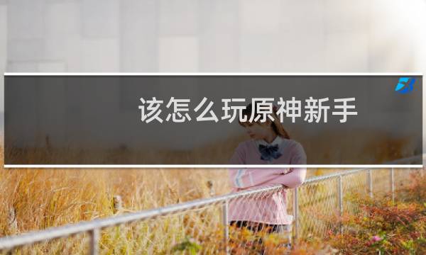 该怎么玩原神新手