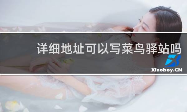 详细地址可以写菜鸟驿站吗