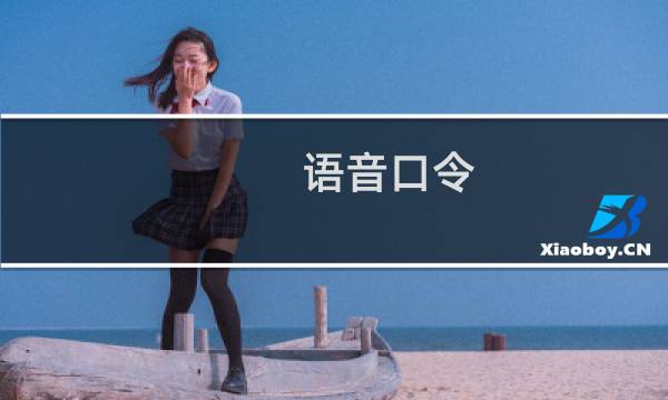 语音口令 攻略