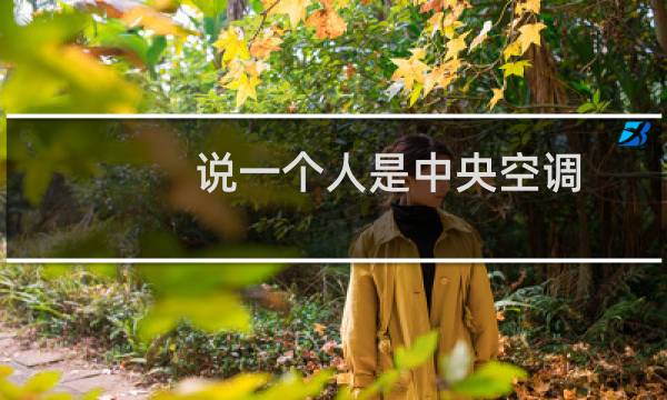 说一个人是中央空调