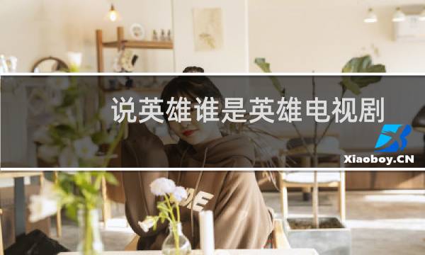 说英雄谁是英雄电视剧