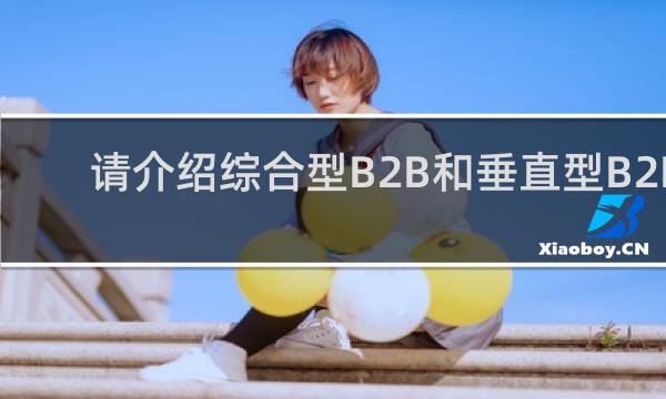 请介绍综合型B2B和垂直型B2B