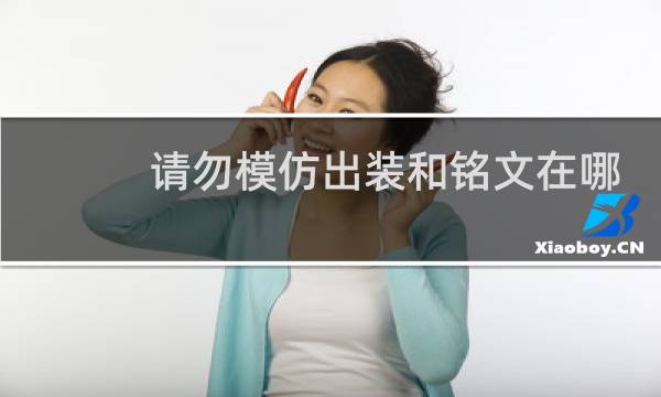 请勿模仿出装和铭文在哪