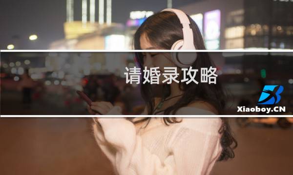 请婚录攻略