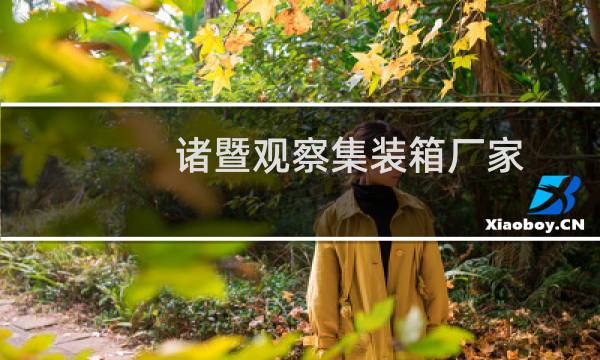 诸暨观察集装箱厂家