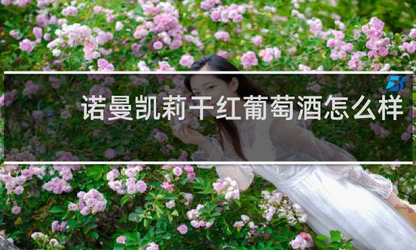 诺曼凯莉干红葡萄酒怎么样